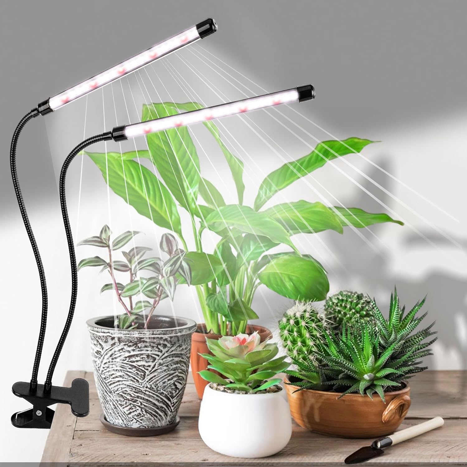 Plant Growth Lights